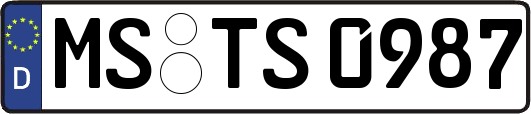 MS-TS0987