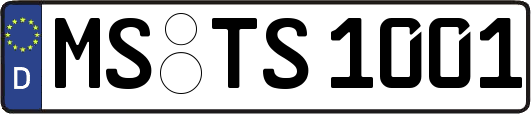 MS-TS1001