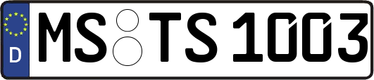 MS-TS1003