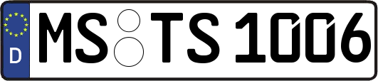 MS-TS1006