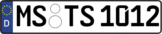 MS-TS1012