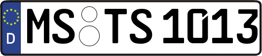 MS-TS1013