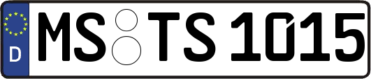 MS-TS1015
