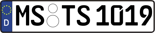 MS-TS1019