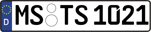MS-TS1021