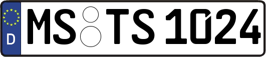 MS-TS1024