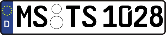 MS-TS1028