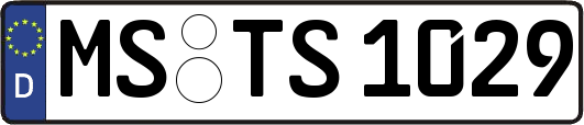 MS-TS1029