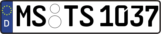 MS-TS1037