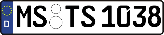 MS-TS1038