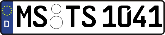 MS-TS1041