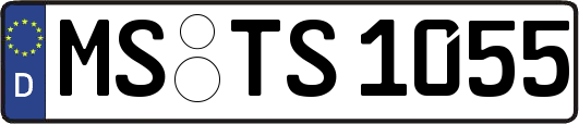 MS-TS1055