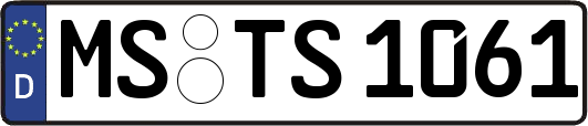 MS-TS1061