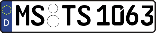 MS-TS1063