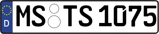 MS-TS1075