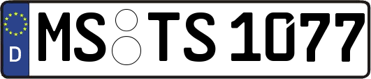 MS-TS1077