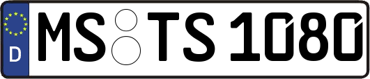 MS-TS1080