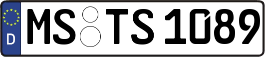 MS-TS1089