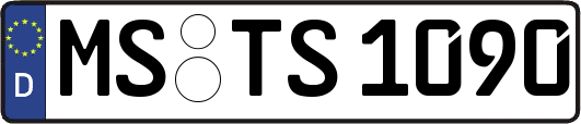 MS-TS1090