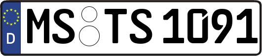 MS-TS1091