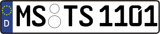 MS-TS1101
