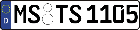 MS-TS1105