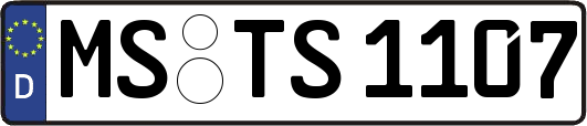MS-TS1107