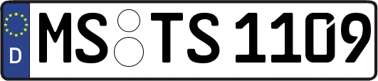 MS-TS1109