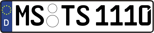 MS-TS1110