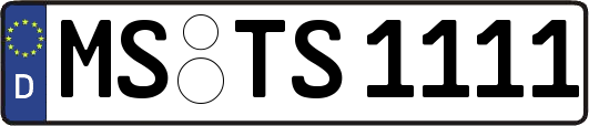 MS-TS1111
