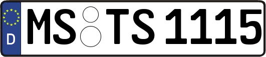 MS-TS1115