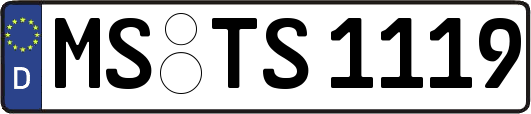 MS-TS1119