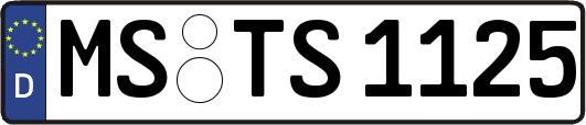 MS-TS1125