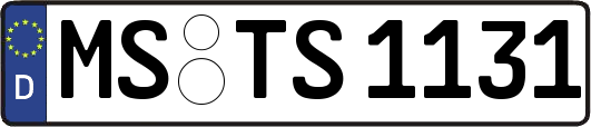 MS-TS1131