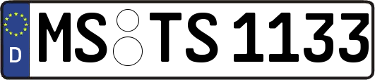 MS-TS1133