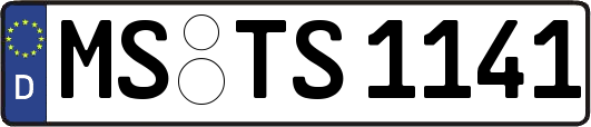 MS-TS1141
