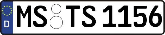 MS-TS1156