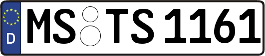 MS-TS1161