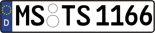 MS-TS1166