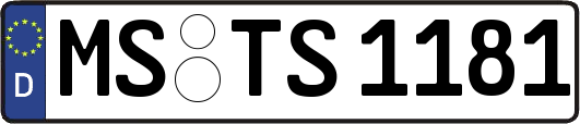 MS-TS1181
