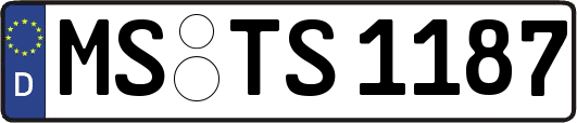 MS-TS1187