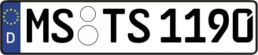MS-TS1190