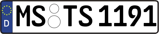 MS-TS1191