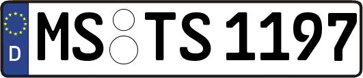 MS-TS1197