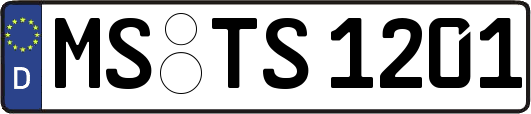 MS-TS1201