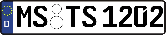MS-TS1202