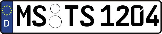 MS-TS1204