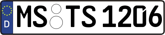 MS-TS1206