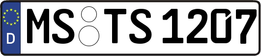 MS-TS1207