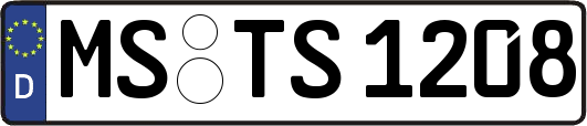 MS-TS1208